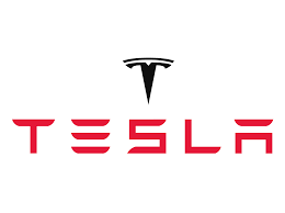 Брызговики Tesla | Тесла